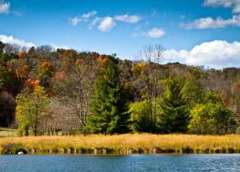 Chestnut Ridge waterfront with fall leaves and blue skies